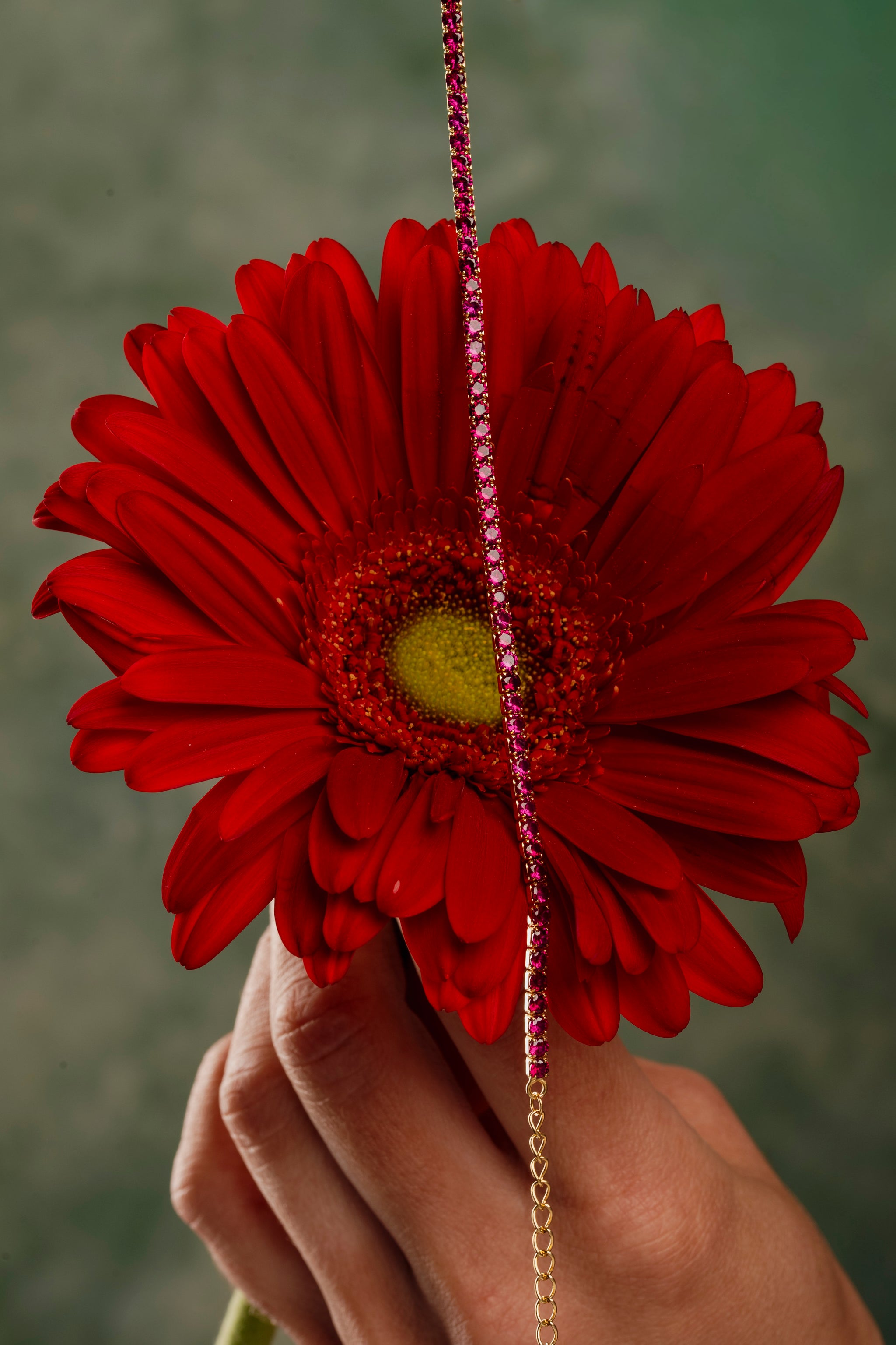 Tennis Girasole