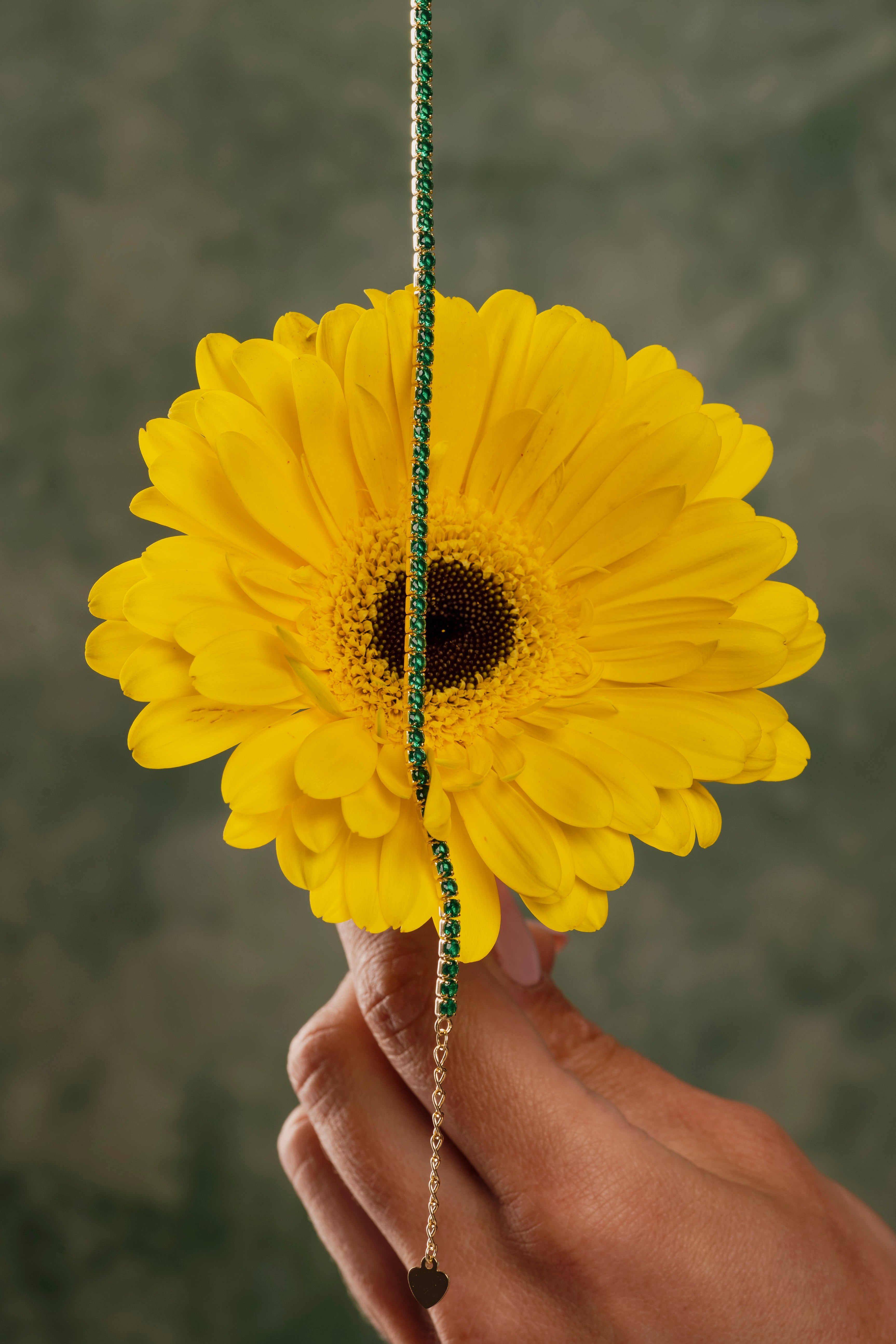 Tennis Girasole