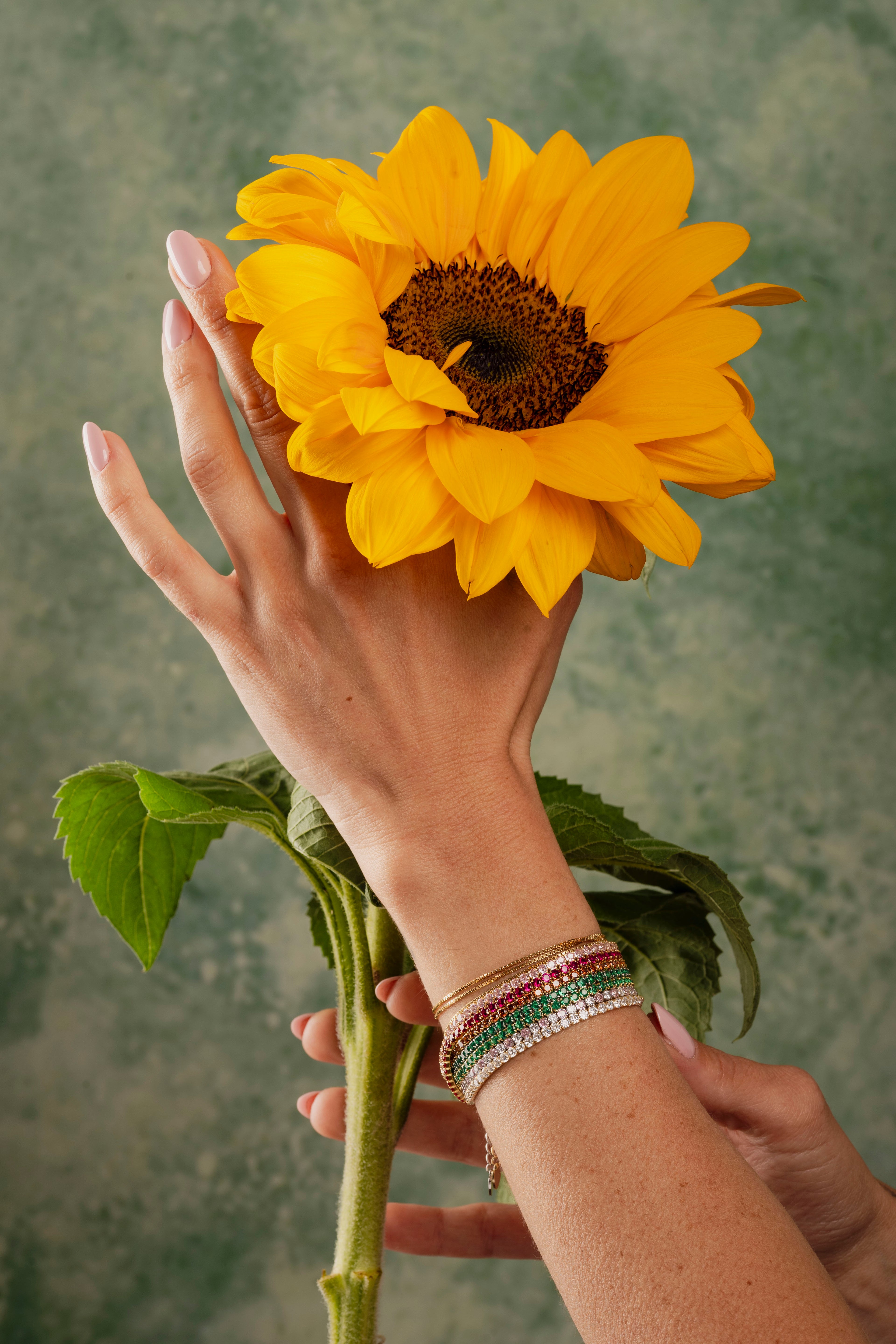 Tennis Girasole