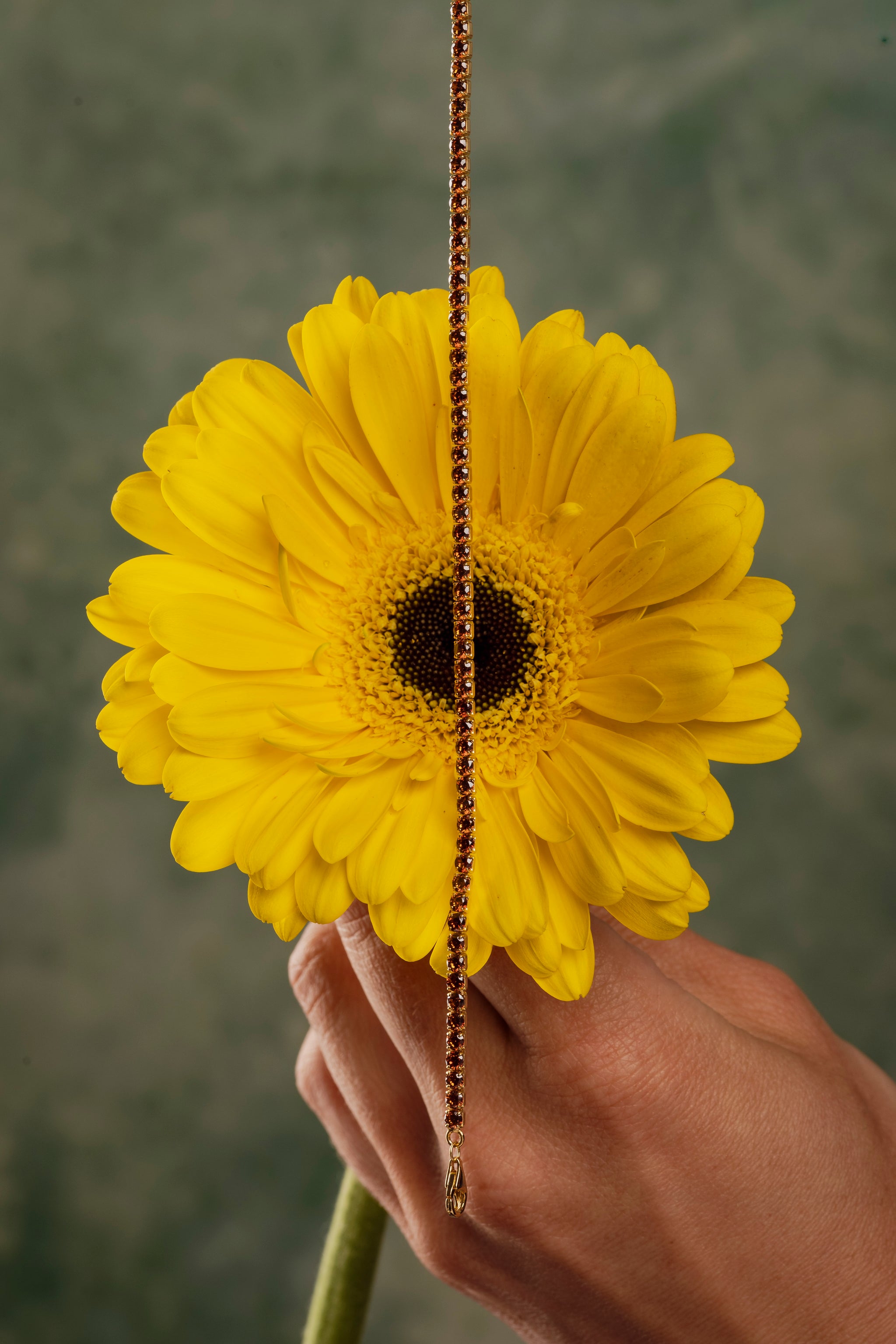 Tennis Girasole