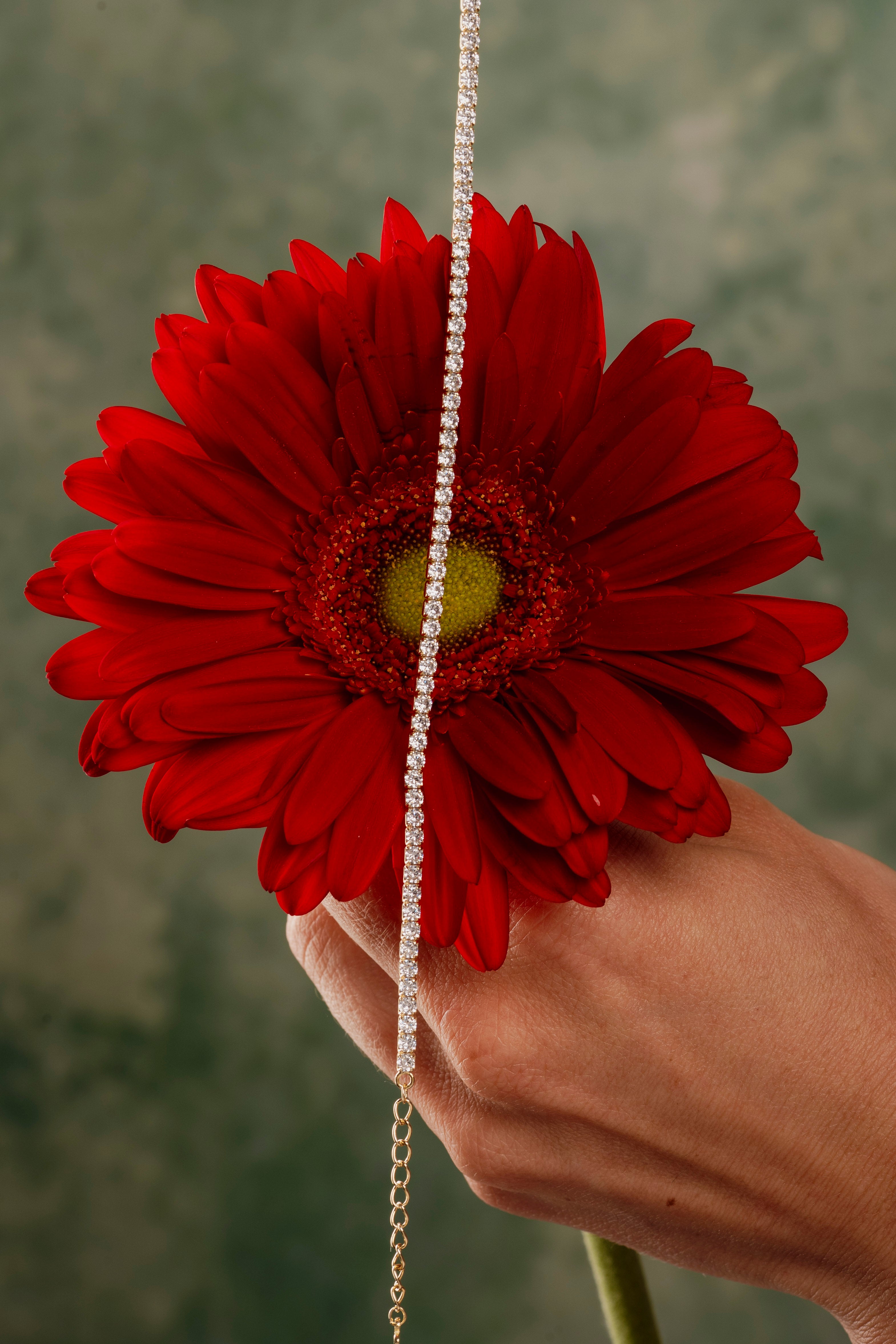 Tennis Girasole