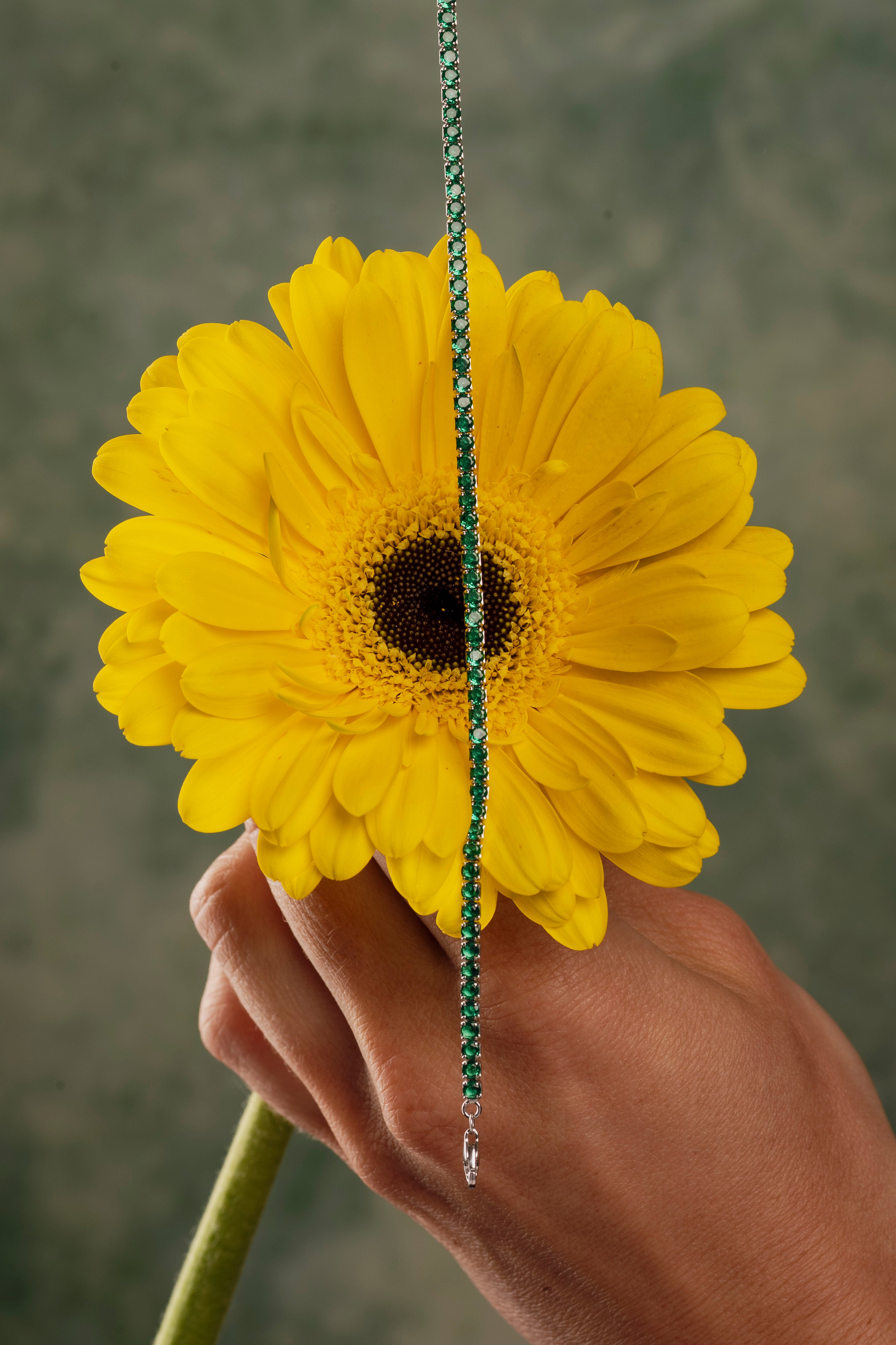 Tennis Girasole